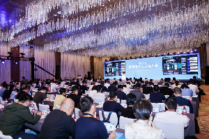 2025低空技術(shù)與工程大會在京開幕